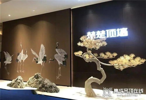 设计腕 世界范 | 楚楚顶墙设计师沙龙暨新品品鉴会包头站收官，艺术墙引领未来生活